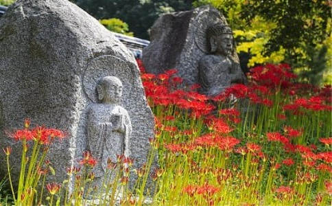 太虚大师：答刘密机问