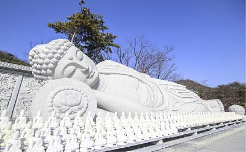 太虚大师：答姚陶馥问（十一则）