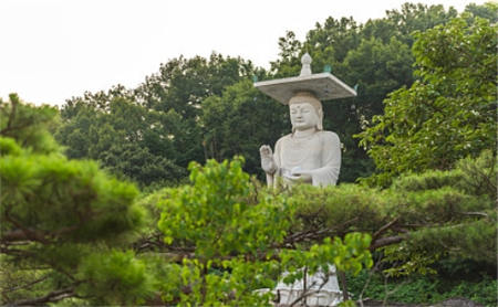 HaiT法师：关于学佛与修行的问答