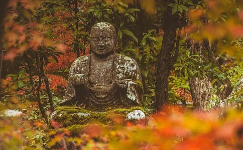 传喜法师：六祖大师用最浅显的语言诠释最深奥的佛理