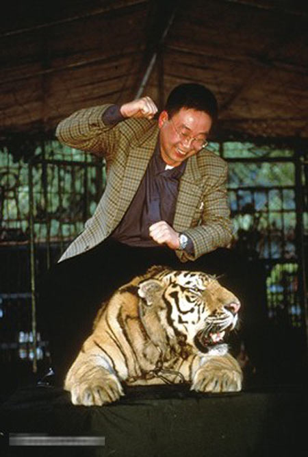 动物之殇，人类不可承受之重