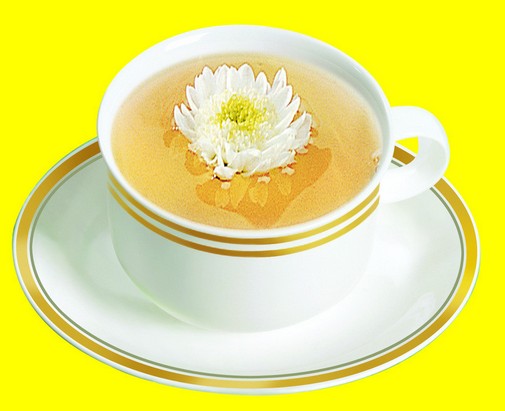 经期能喝菊花茶吗