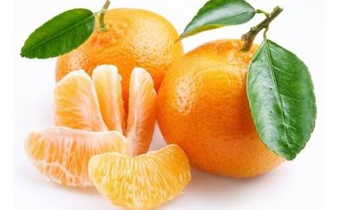 让孩子懂得橘子的用意！