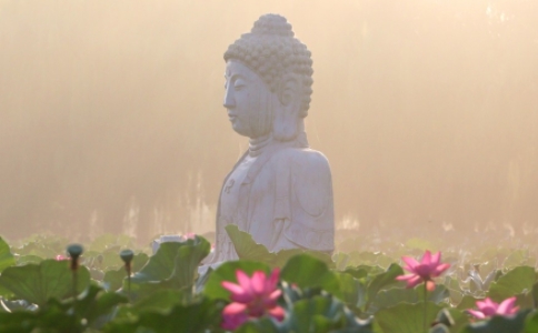 佛陀的一生，都与花有密切的关系