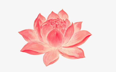 星云大师：佛教为什么要选定莲花来作象征？