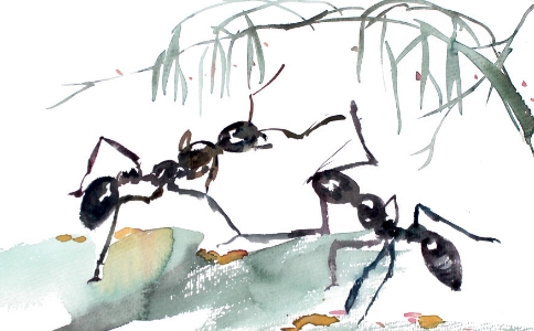宏海法师：受五戒后不小心打死蚊子踩死蚂蚁，会下地狱吗？
