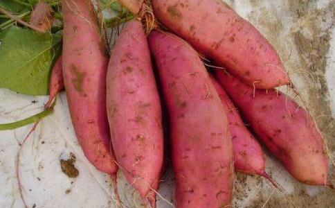 抗癌蔬菜第一名——红薯