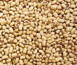眉豆是什么豆？眉豆的功效与作用及食用方法