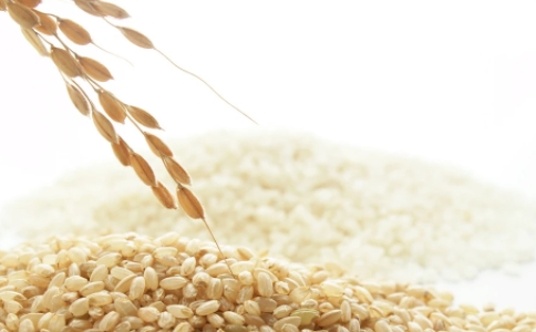 粳米与籼米的区别在哪？