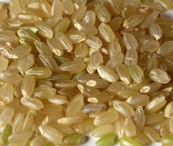 糙米减肥