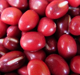 红豆的六种做法