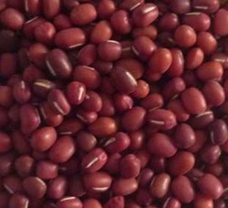 赤小豆是什么